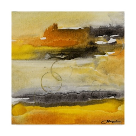 Trademark Fine Art Joyce Combs 'Paradise Island Ii' Canvas Art, 14x14 WAG04999-C1414GG